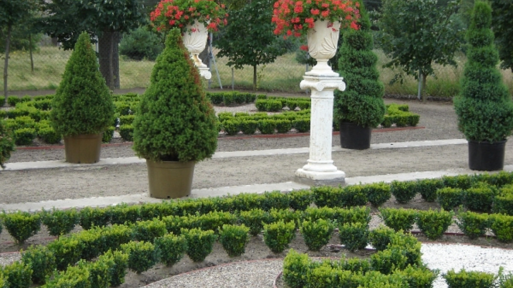 fot. www.poradnikogrodniczy.pl