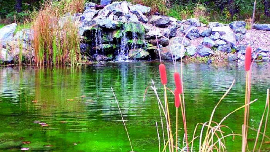 fot. Wirtua Garden