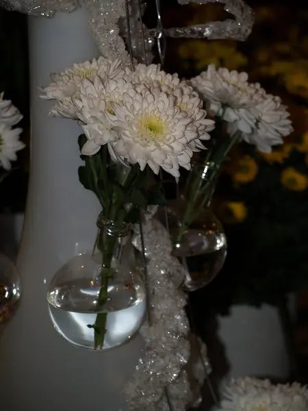 Flowers &amp; HorTech, fot. Paweł Romanowski
