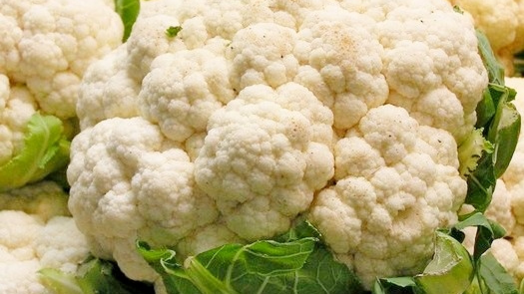 Kalafior (Brassica oleracea var. botrytis)