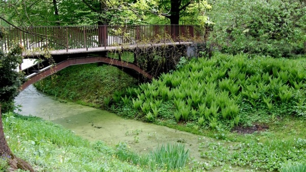 Most w Ogrodzie Botanicznym (fot. Michał Mazik)