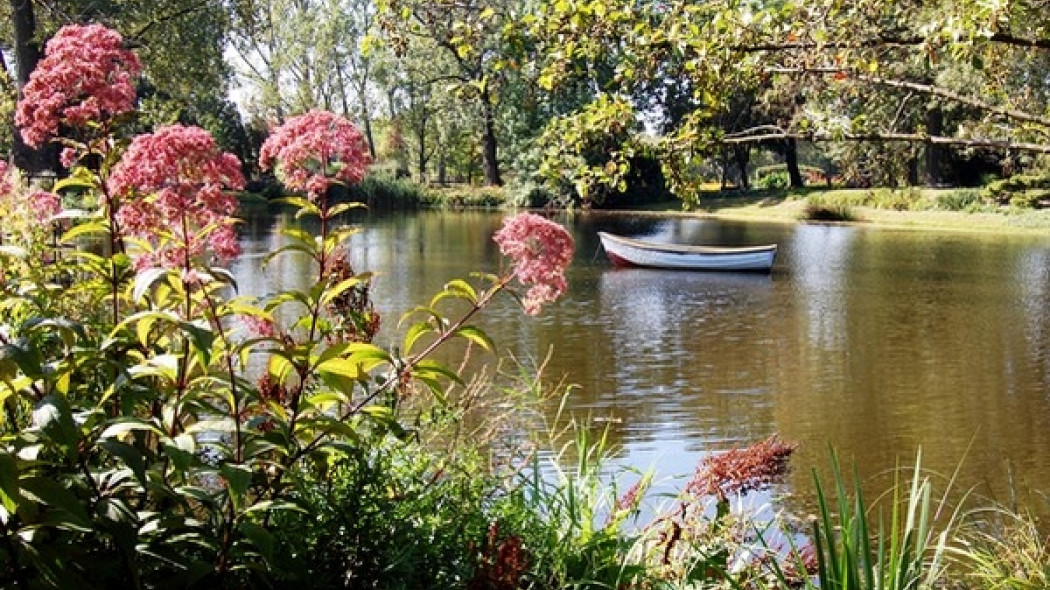 Staw w Ogrodzie Botanicznym w Lublinie (fot. Michał Mazik)