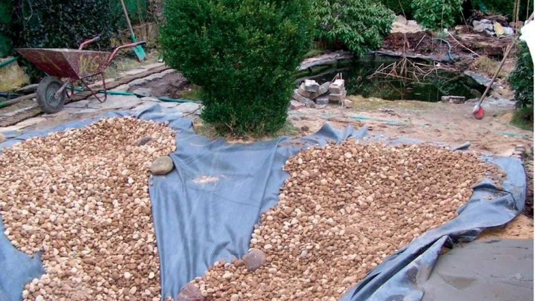 Oczko wodne (fot. Wirtua Garden)