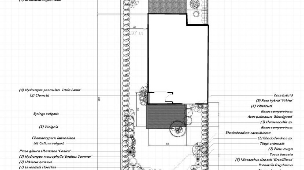 Projekt ogrodu idealny na wąską działkę