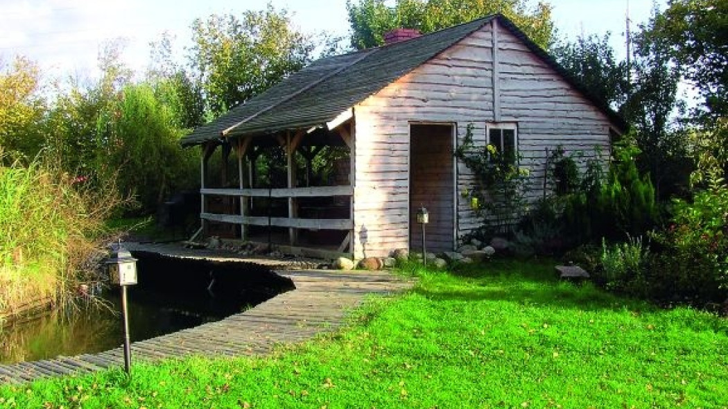 Fińska kota