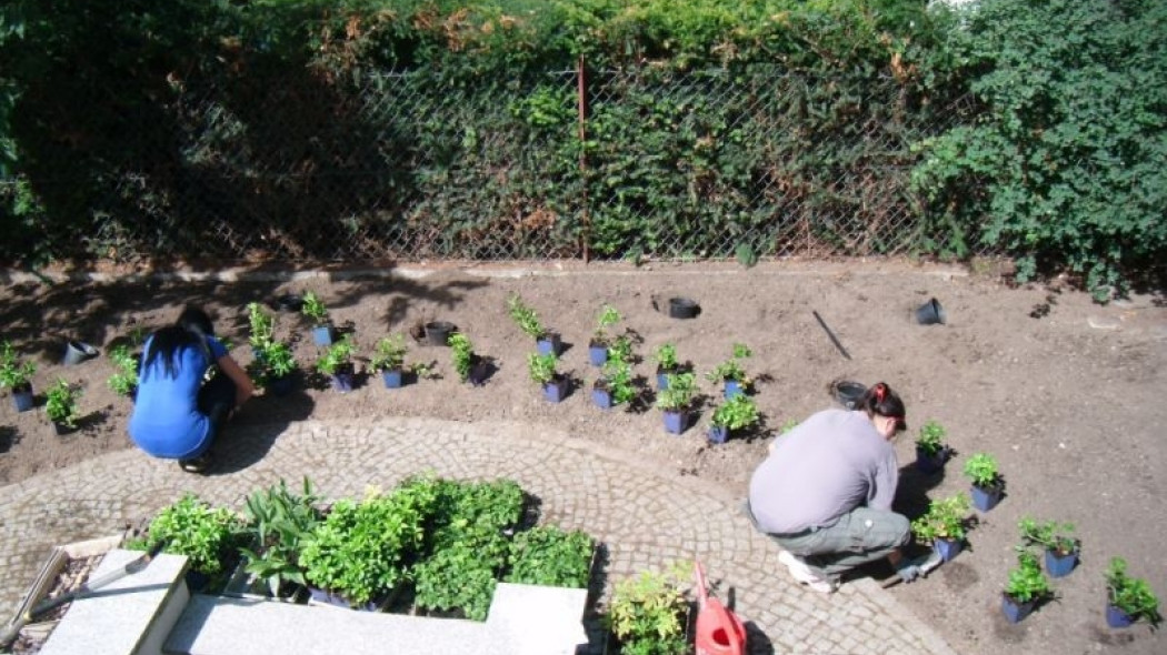 Od projektu do realizacji - jak powstaje ogród fot. Malwa Ogrody