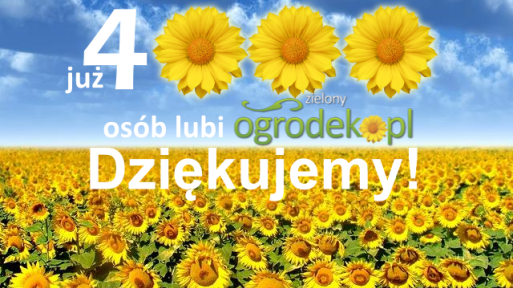 zielonyogrodek.live ma już 4000 fanów na facebooku