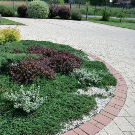 ogród wielofunkcyjny4