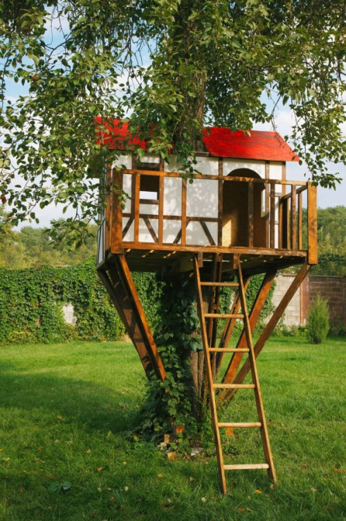 Domek na drzewie fot. Śnieżka