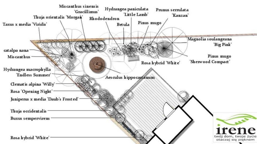 Projekt małego ogrodu w kształcie litery V