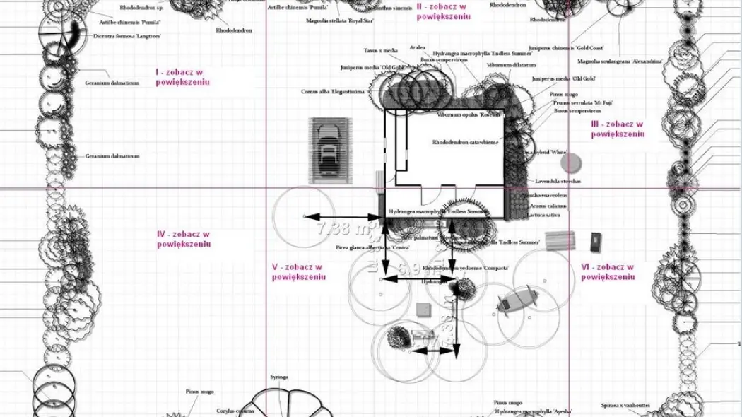 Projekt leśnego ogrodu z domkiem letniskowym - ogród wypoczynkowy