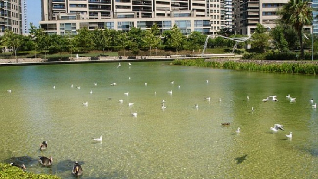 Park Diagonal Mar