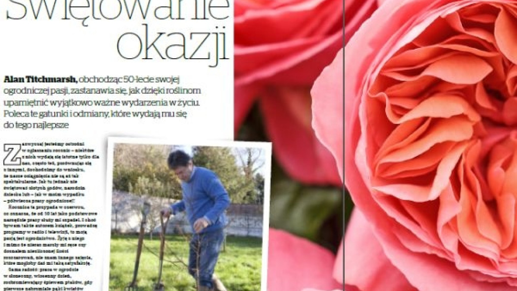świętowanie okazji