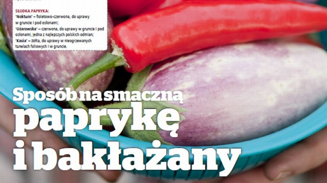 sposób na smaczną papryke i bakłażany