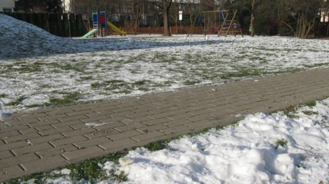Odgarnięcie świeżego śniegu brzozową miotłą zupełnie wystarczy