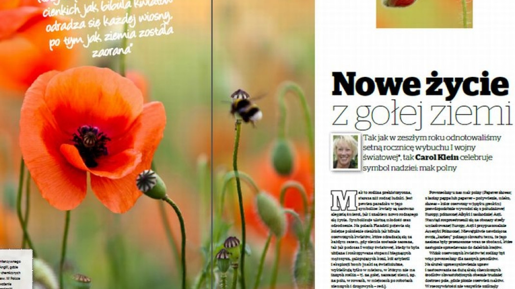 Maki - nowe życie z gołej ziemi