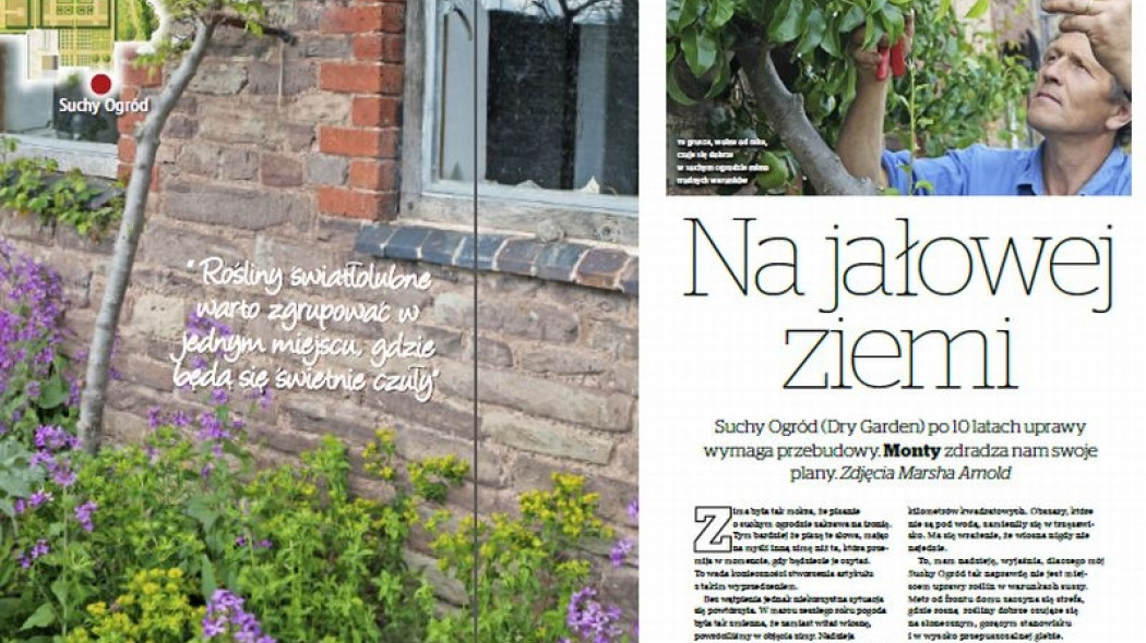 na jałowej ziemi - suchy ogród Montyego
