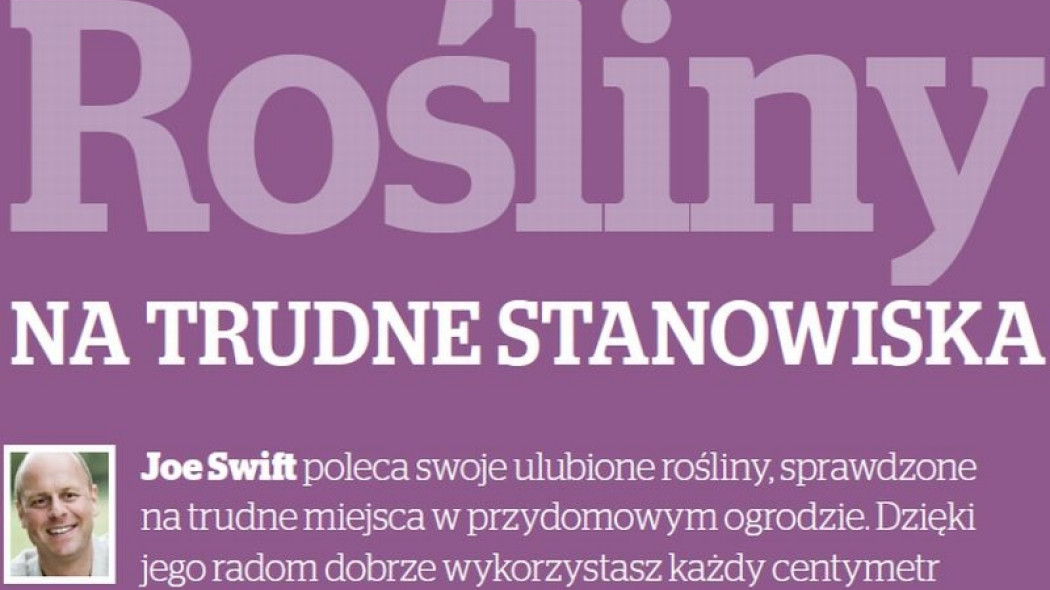 rośliny na trudne stanowiska