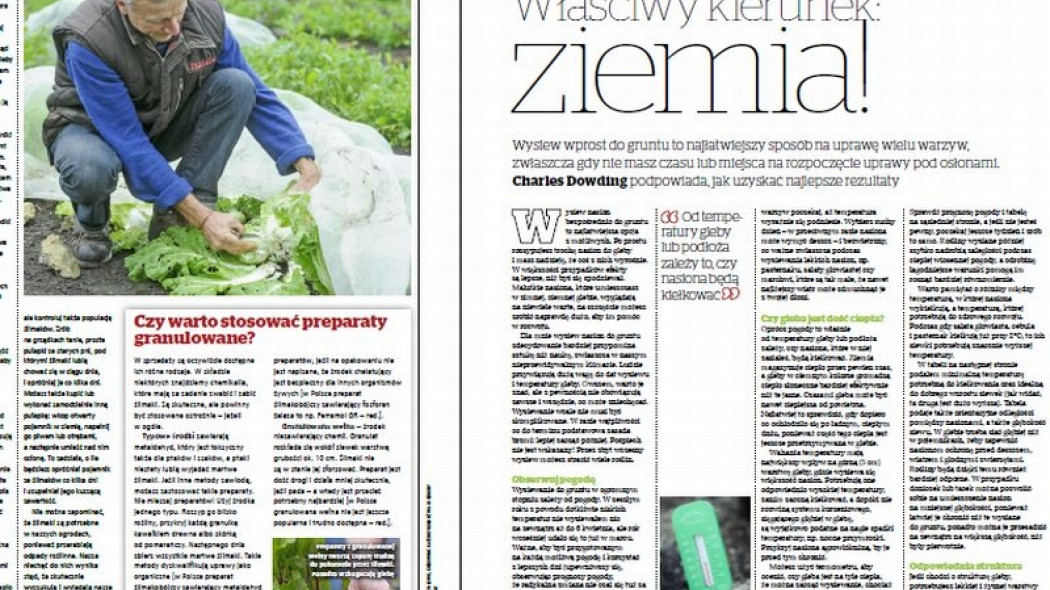 właściwy kierunek ziemia