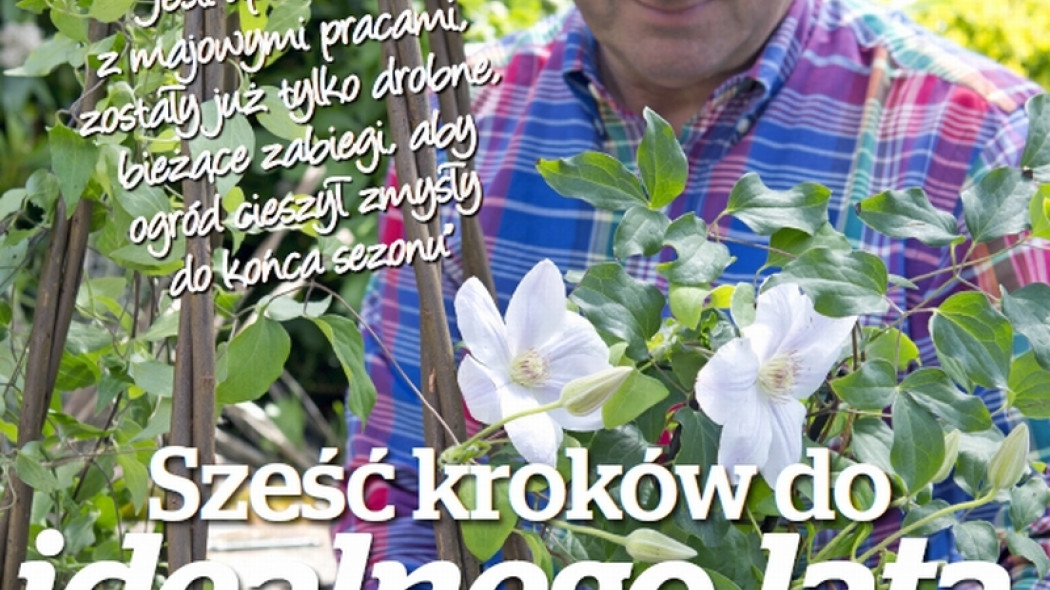sześć kroków do idealnego lata