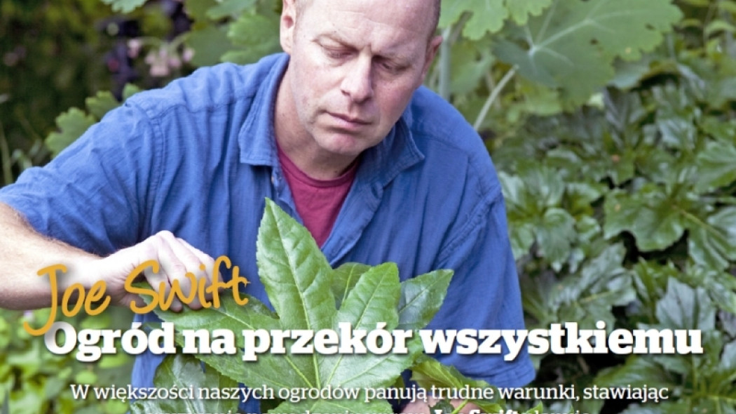 ogród na przekór wszystkiemu