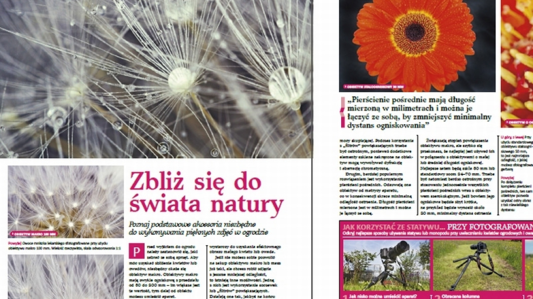 kwiaty zdjęcia makro
