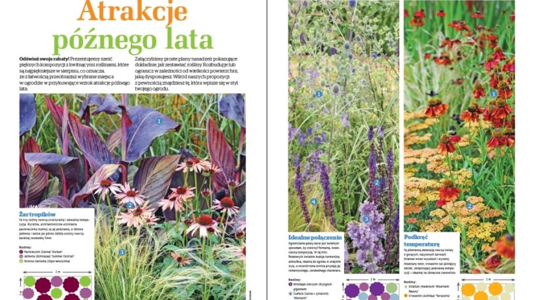 atrakcje późnego lata