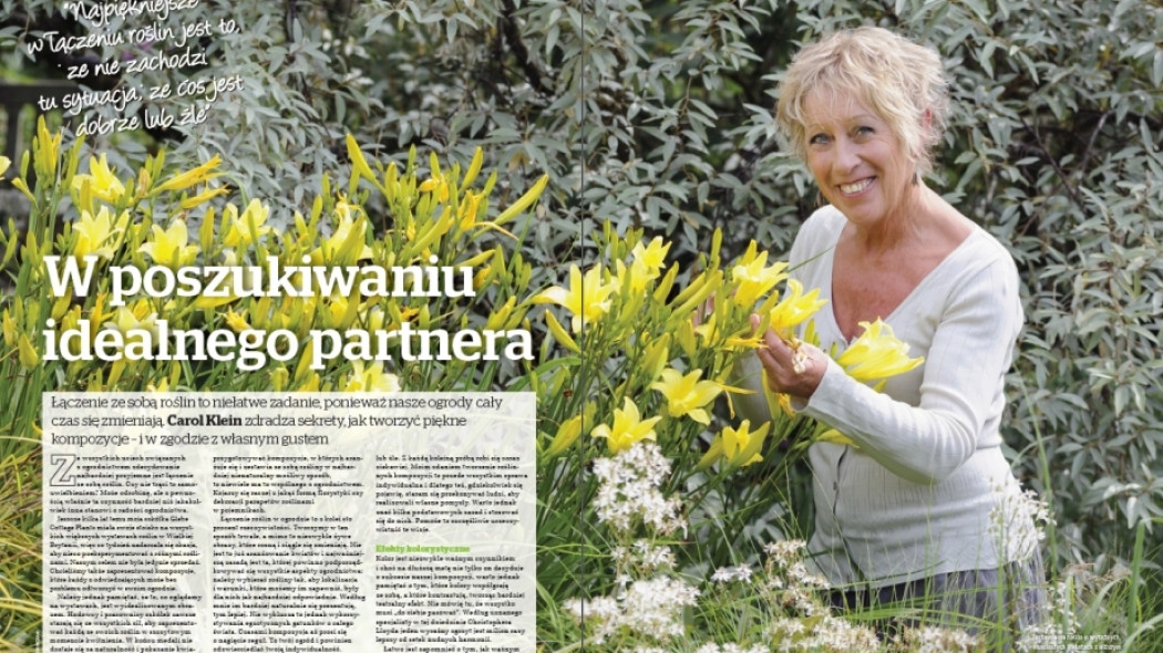 w poszukiwaniu idealnego partnera