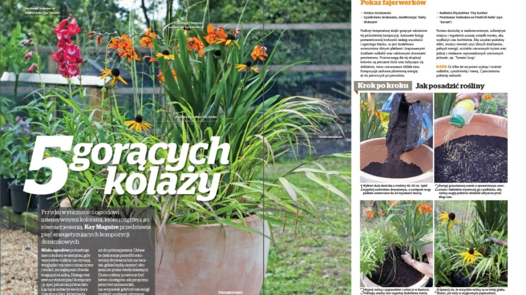 5 gorących kolaży