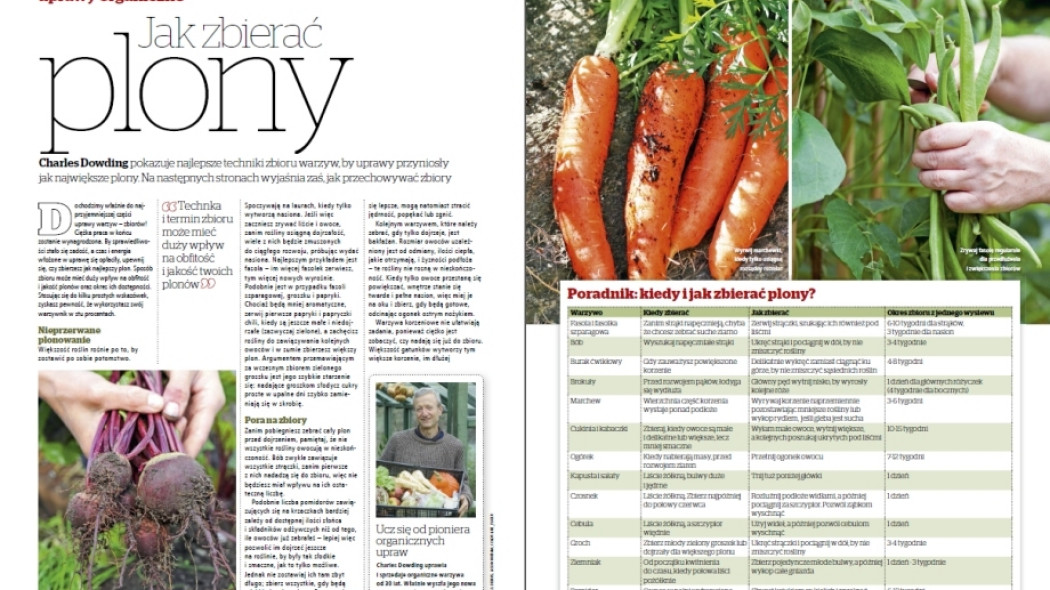 jak zbierać plony - uprawy organiczne