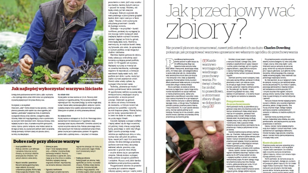 uprawy organiczne - jak przechowywać zbiory