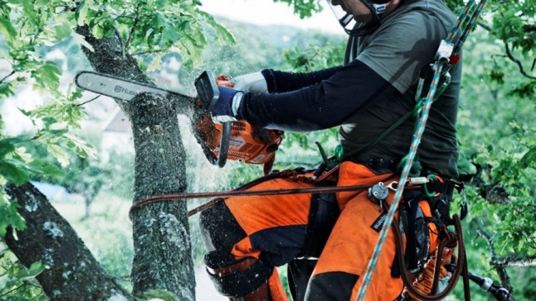 praca na wysokości arborysta Husqvarna