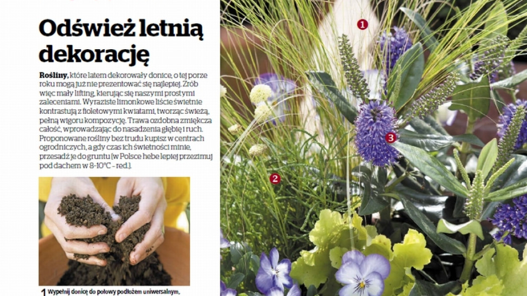 kompozycja sezonu - odśwież letnią dekorację