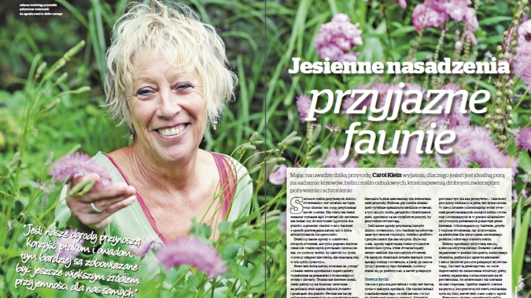jesienne nasadzenia przyjazne faunie
