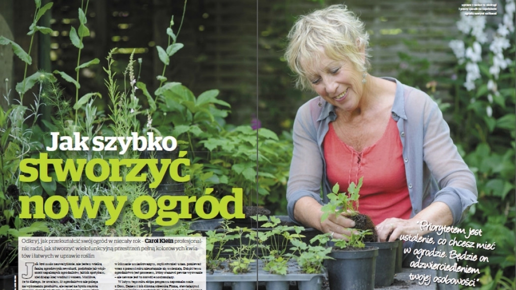 jak szybko stworzyć nowy ogród