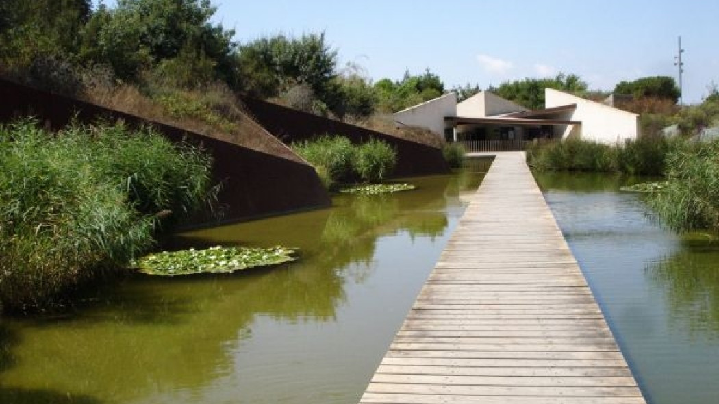 Ogród botaniczny w Barcelonie, fot. M. Palczyńska