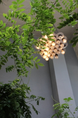 Zielone inspiracje od IKEA