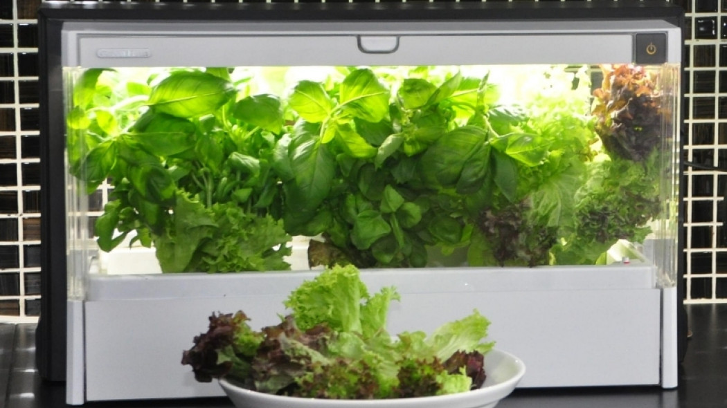 Green Farm - domowy zestaw do hydroponicznej uprawy roślin