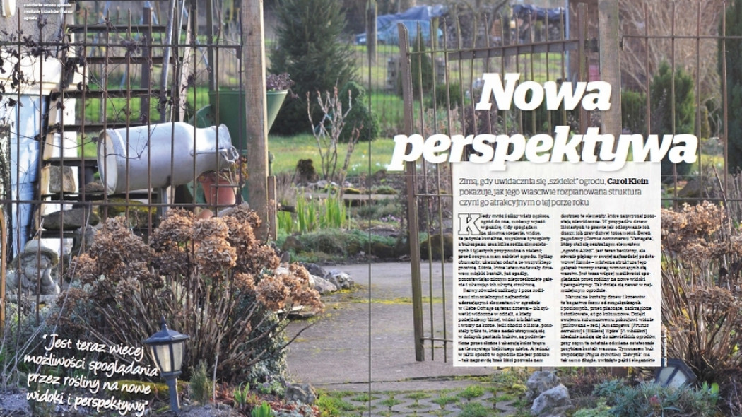 Nowa perspektywa