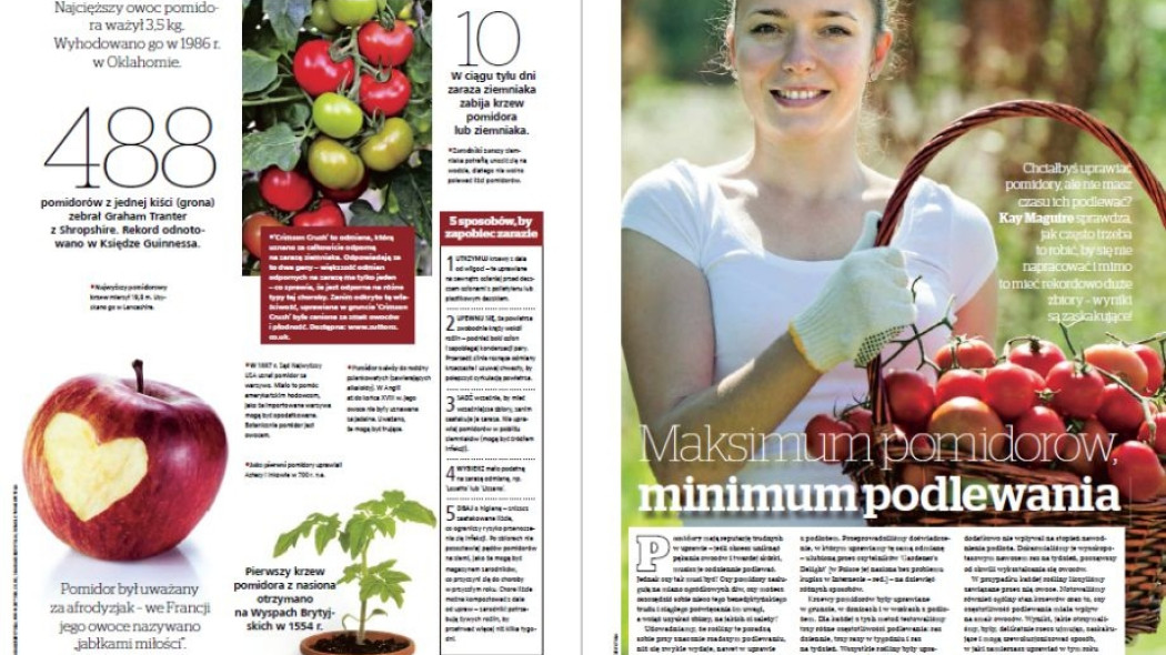 maksimum pomidorów minimum podlewania