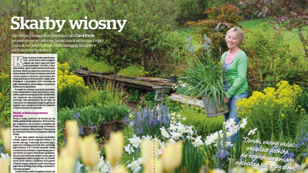kwiaty skarby wiosny