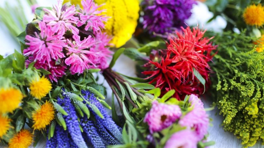 kwiaty ogrodowe na bukiety Carthamus - Paeonia - Achillea - Veronica - Callistephus - Solidago fot. Flower Council Holland
