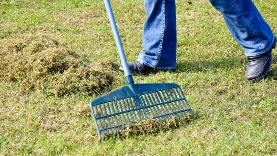 wertykulacja trawnika fot. Marco2811 - Fotolia.com