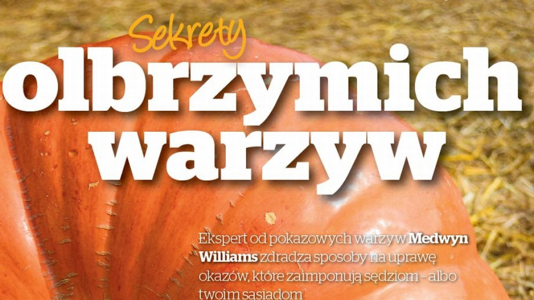 sekrety olbrzymich warzyw