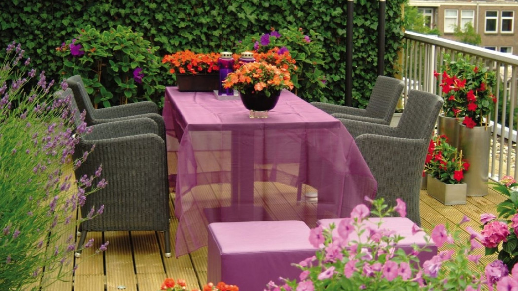 pnącza na balkonie fot. Flower Council Holland