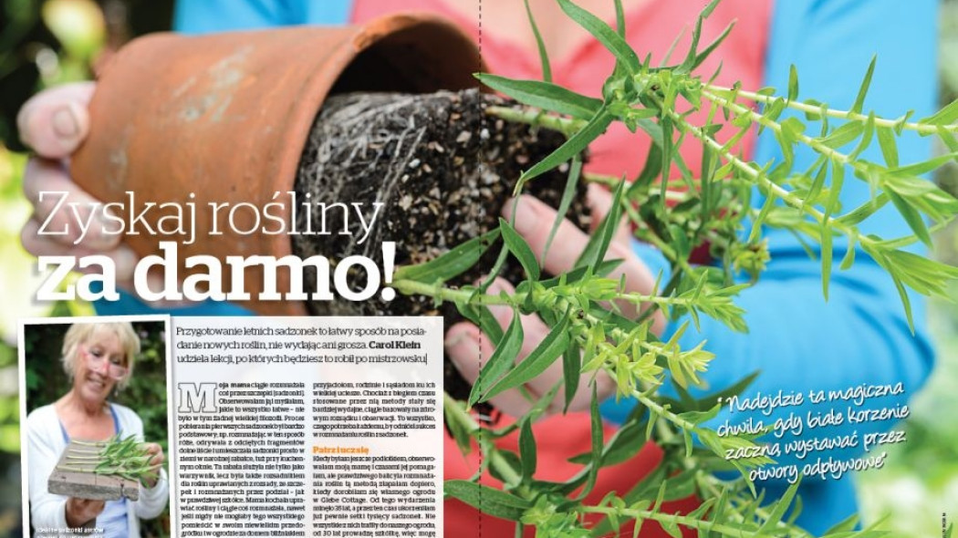 Carol o rozmnażaniu Zyskaj rośliny za darmo