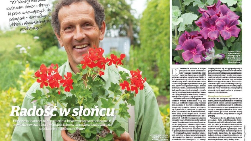 Radość w słońcu