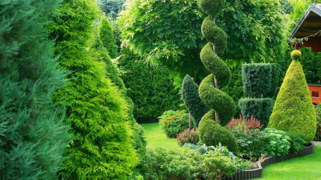 tuje żywotniki w ogrodzie fot. Monarda - Fotolia.com