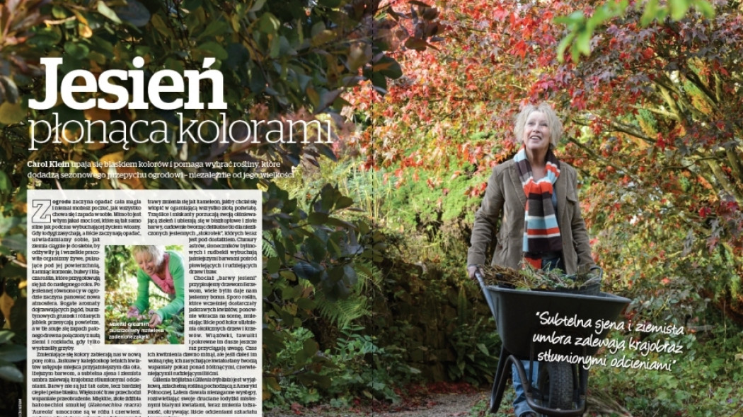 Jesień płonąca kolorami