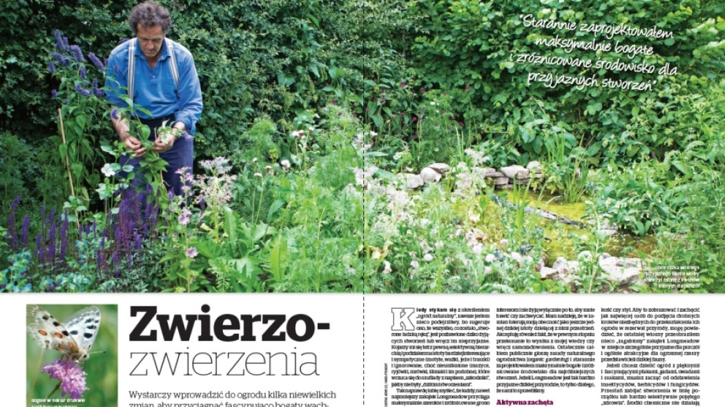 Zwierzo-zwierzenia